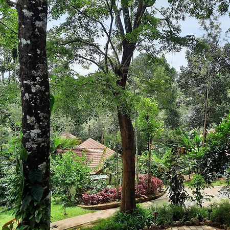 Willow Resorts Ambalavayal Dış mekan fotoğraf