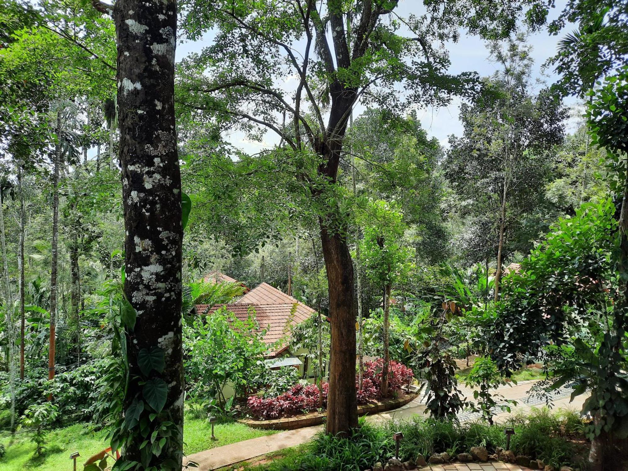 Willow Resorts Ambalavayal Dış mekan fotoğraf